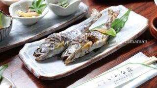 いわな荘（大洲市河辺）サムネイル画像