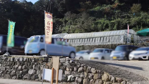 西条市天川棚田のコスモス畑の駐車場