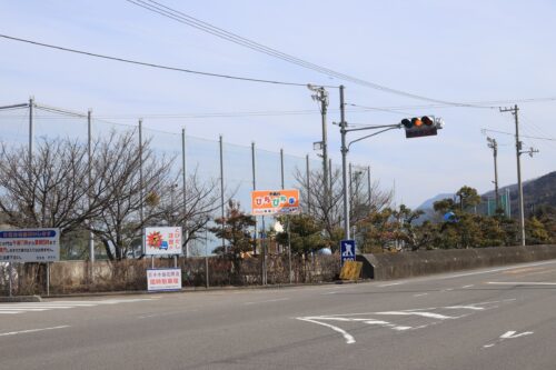 日本水仙花開道_駐車場2
