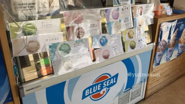 ブルーヘブン（松山市北条）アイスクリーム専門店のメニュー