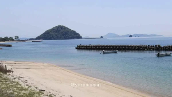 ブルーヘブン（松山市北条）の店舗から見える瀬戸内海