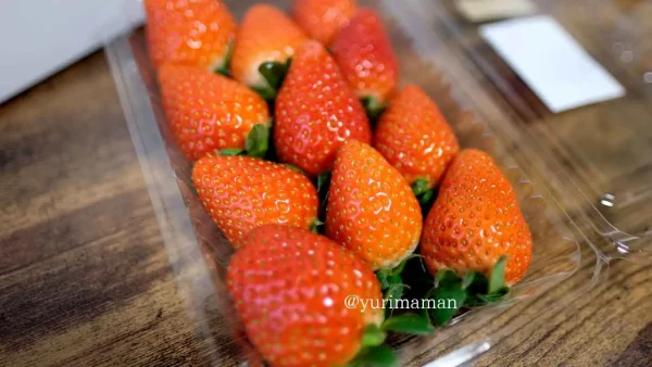 いちご日和でいちごパックをテイクアウト