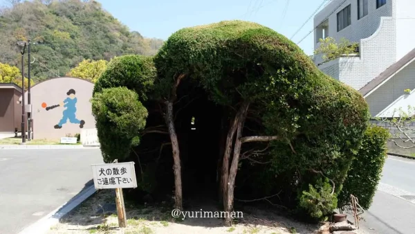 愛媛県八幡浜市・王子の森公園にあるトトロのトンネル入口 - ゆりママんブログ 愛媛県八幡浜市・王子の森公園にあるトトロのトンネル入口