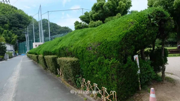 愛媛県八幡浜市・王子の森公園にあるトトロのトンネル全景 - ゆりママんブログ 愛媛県八幡浜市・王子の森公園にあるトトロのトンネル全景