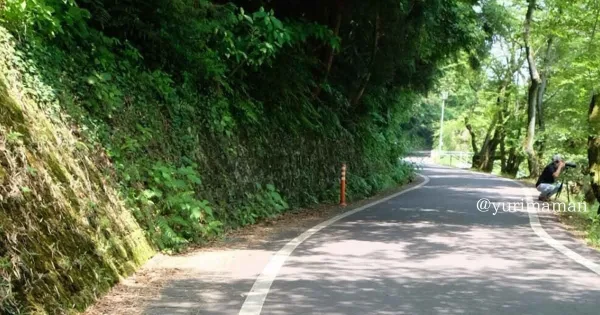 池田池公園の菖蒲園の道のり（道が細いので気を付けて）
