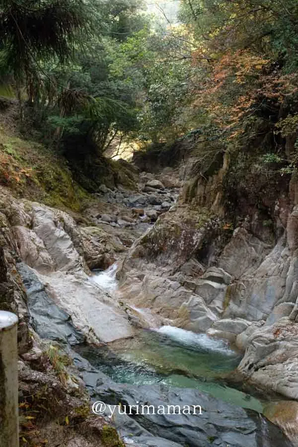 今治市・鈍川渓谷の透明度の高い川の風景