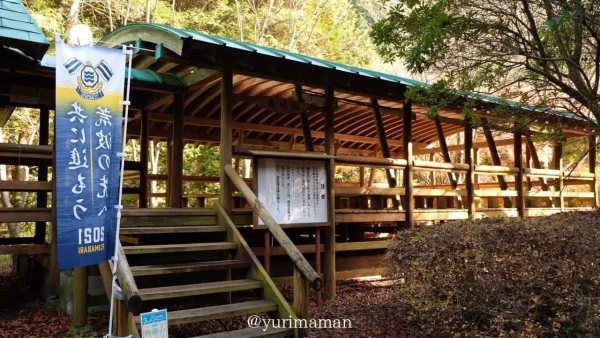 紅葉に包まれたふれあいの森森林館の外観3