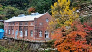 マイントピア別子紅葉(新居浜市)サムネイル画像 - ゆりママんブログ マイントピア別子紅葉(新居浜市)サムネイル画像