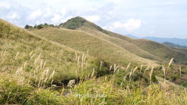 塩塚高原やすらぎの広場から眺めるすすきの群生 - ゆりママんブログ 塩塚高原やすらぎの広場から眺めるすすきの群生