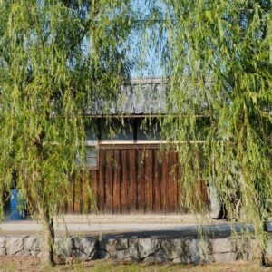 有明公園_サムネイル画像