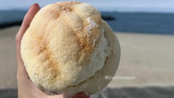 生クリーム入りメロンパン 大洲市長浜の手づくりパンまことやの人気パン2 - ゆりママんブログ 生クリーム入りメロンパン 大洲市長浜の手づくりパンまことやの人気パン2