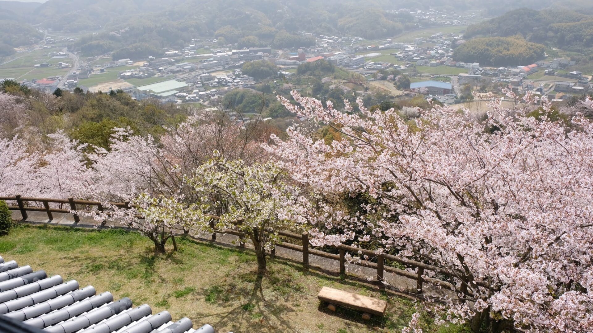 海山城展望公園の桜_サムネイル画像