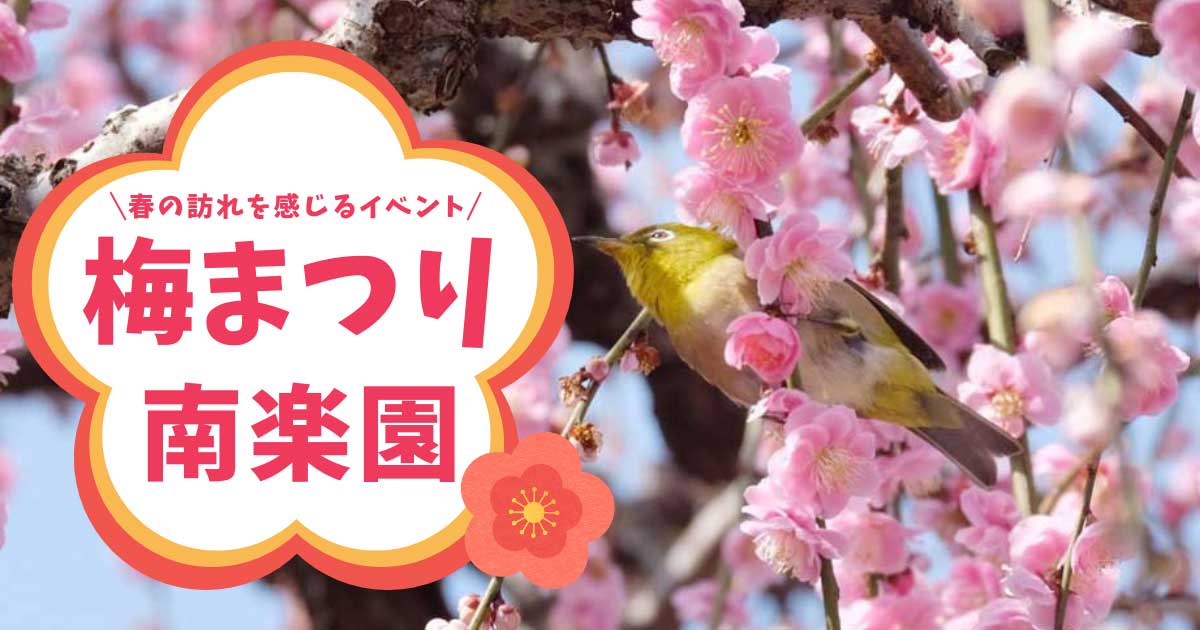 南楽園の梅まつり_サムネイル画像