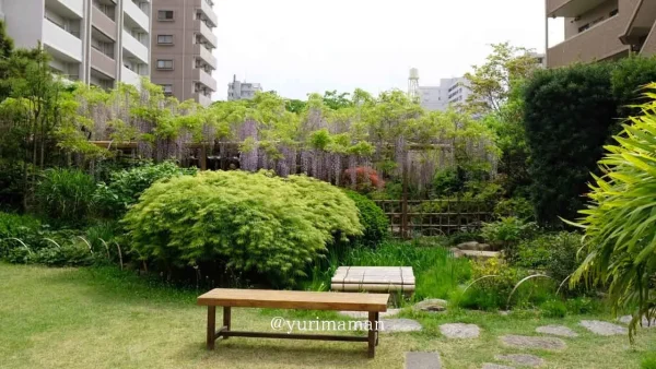 松山市・庚申庵史跡庭園の藤棚と和風庭園の風景5-5 - ゆりママんブログ 松山市・庚申庵史跡庭園の藤棚と和風庭園の風景5