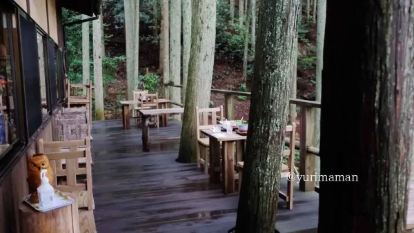 こけむしろのカフェテラス席｜苔庭を眺めながらくつろげる人気の席