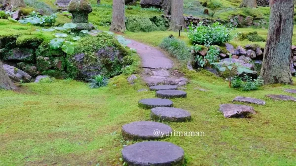 西予市「こけむしろ」の苔庭の風景｜ジブリのような神秘的な苔の世界1