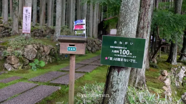 西予市「こけむしろ」の苔庭の風景｜入場料は100円
