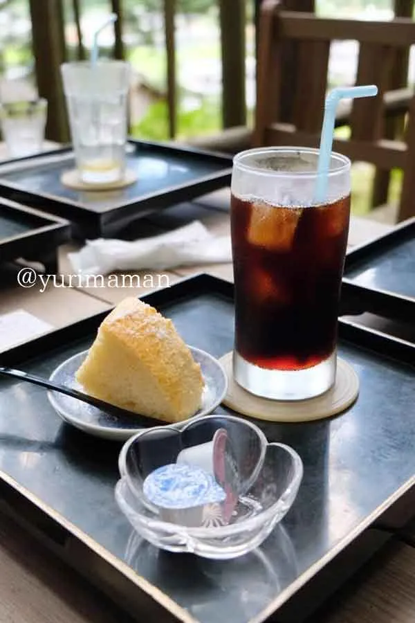 こけむしろ（西予市）の米粉入りシフォンケーキ｜ふんわりやさしい甘さが魅力