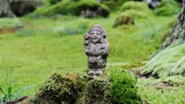 こけむしろ（西予市）の苔庭にたたずむ石像｜苔に包まれた神秘的な景色2