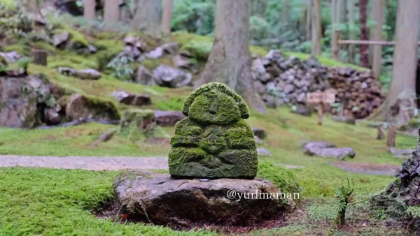 こけむしろ（西予市）の苔庭にたたずむ石像｜苔に包まれた神秘的な景色1