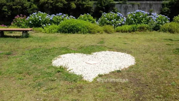 大洲市「道の駅 清流の里ひじかわ」のハートのアート
