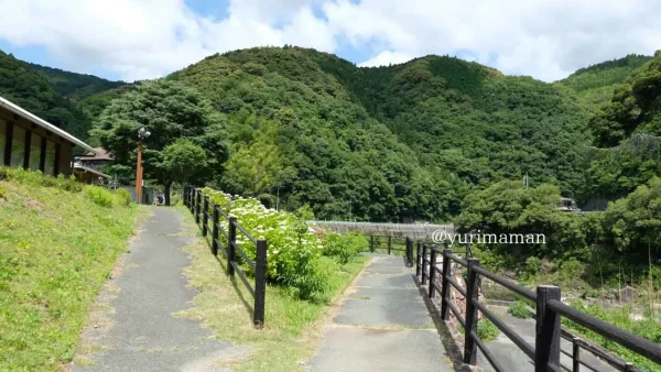 大洲市「道の駅 清流の里ひじかわ」の遊歩道