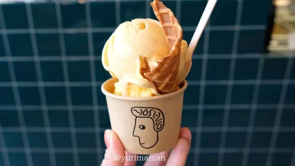 ヨシヲアイスクリームで購入したアイス2