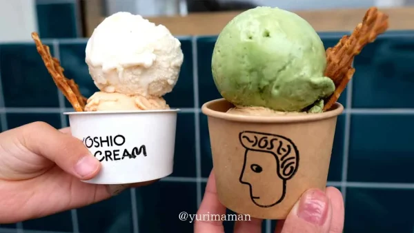 ヨシヲアイスクリームで購入したアイス1