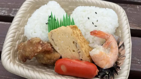 道の駅みまで購入した三間米を使ったお弁当