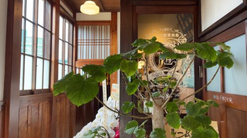 島田薬館カフェ随まにまに内観写真2