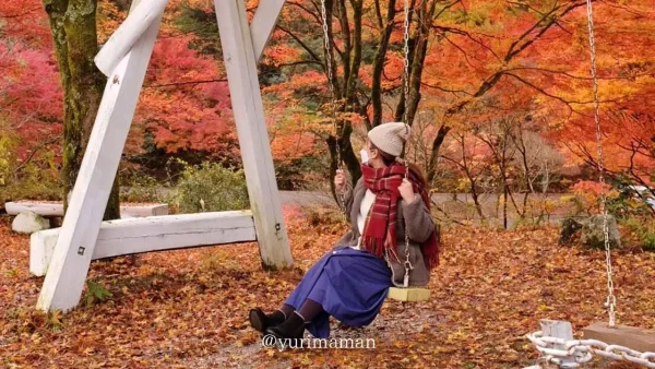 久万高原ふるさと旅行村のもみじと秋の風景2