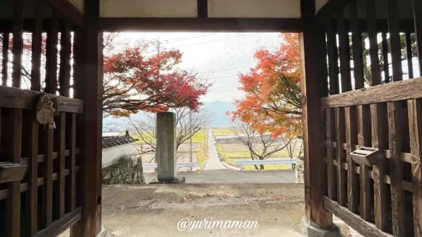 医王寺の山門を抜けた参道に広がる東温市の秋の景色