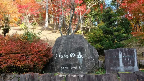 高野展望台のふもとにある「きららの森」の紅葉風景1