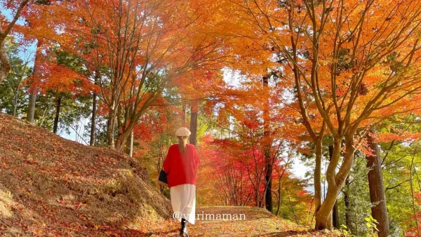 高野展望台のふもとにある「きららの森」の紅葉風景2
