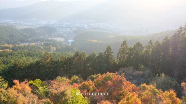 高野展望台から眺める久万高原町の町並みと紅葉風景