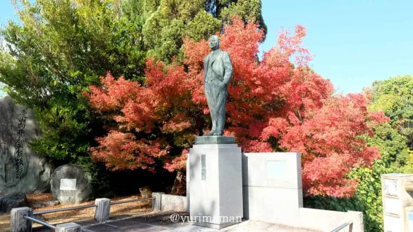砥部町のイチョウともみじの木｜陶祖ヶ丘・陶板の道2