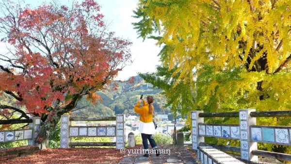 砥部町の紅葉スポット|陶祖ヶ丘・陶板の道イチョウの木1 - ゆりママんブログ 砥部町の紅葉スポット|陶祖ヶ丘・陶板の道イチョウの木1