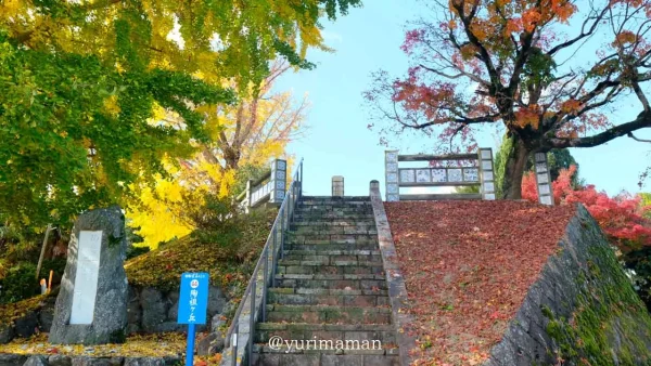 砥部町｜陶板の道から見えるイチョウともみじの木