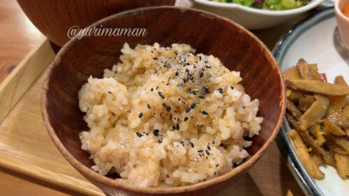 日替わり玄米定食5