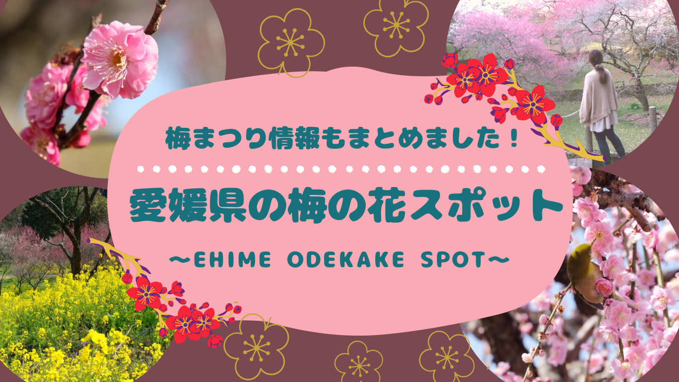 愛媛の梅の花スポットまとめサムネイル画像
