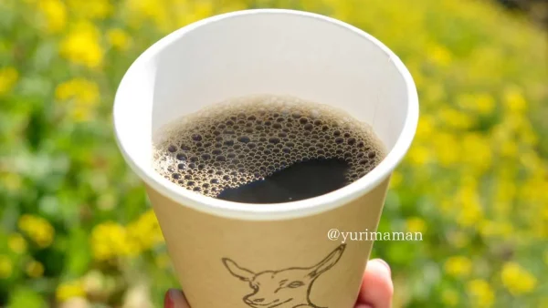 佐礼谷コーヒースタンドで満開の菜の花とコーヒーを楽しむ