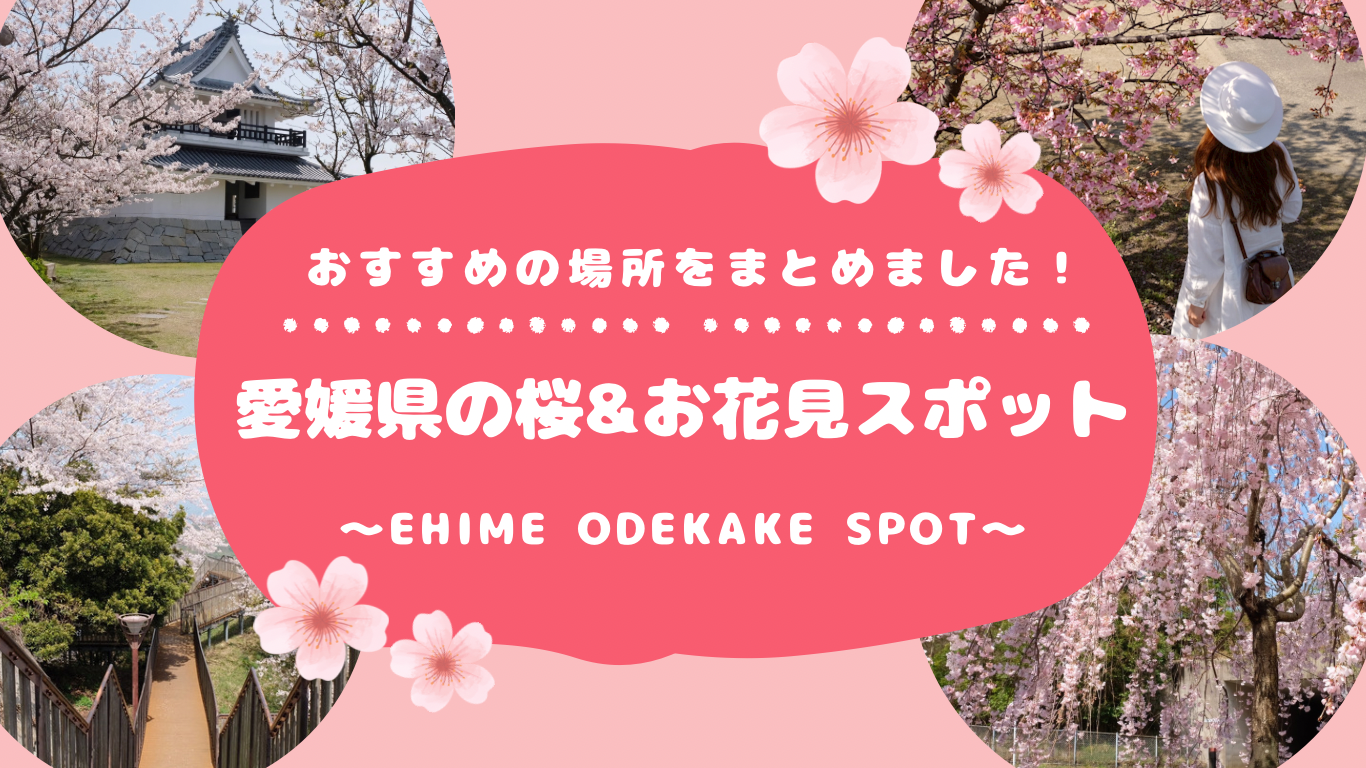 愛媛県の桜&お花見スポットまとめ_サムネイル画像