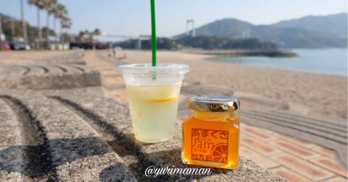 伯方plus+（プラス）のレモンスカッシュと天草ジャム