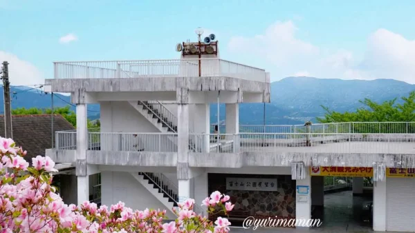 大洲市のツツジの名所「冨士山公園」の展望台
