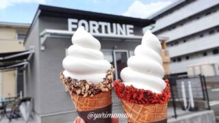 フォーチュンアイスクリーム(松山市保免西)サムネイル画像 - ゆりママんブログ フォーチュンアイスクリーム(松山市保免西)サムネイル画像