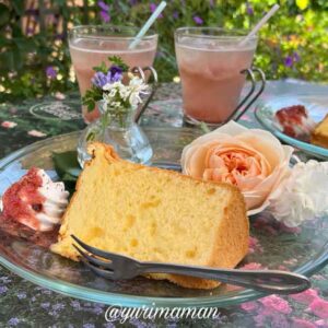 松山市「妖精の楽園」2025_サムネイル画像