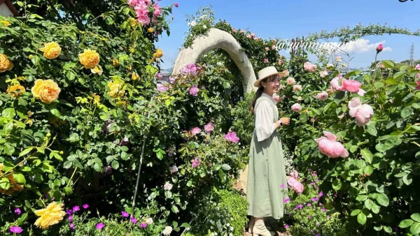 松山市「妖精の楽園」バラが美しい散策路