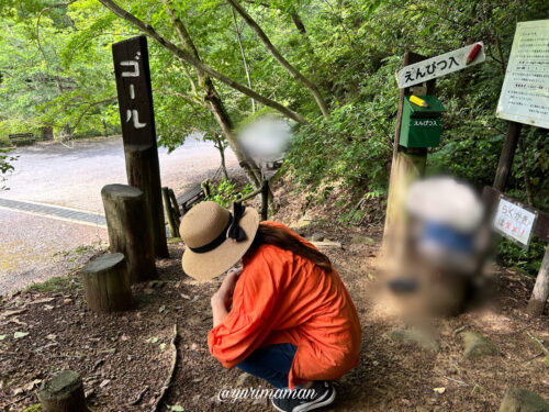 えひめ森林公園アスレチックコース1