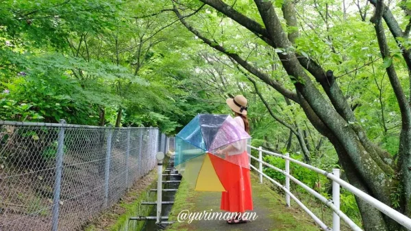 あじさいロード山田（愛媛・新居浜）新緑に囲まれた遊歩道