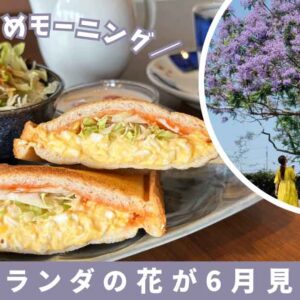 松前町「ジャガランダコーヒー」サムネイル画像